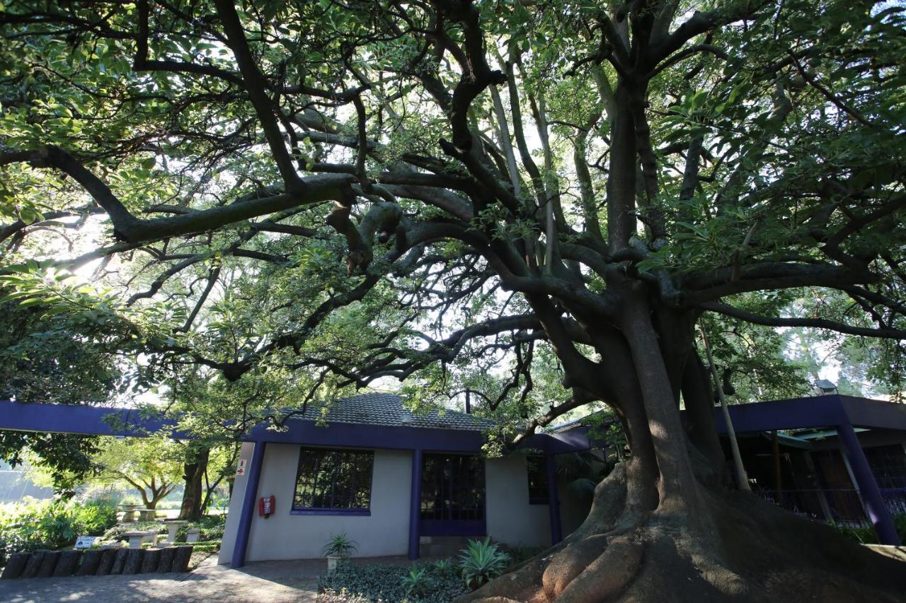ホテル Big Tree ミッドラント エクステリア 写真